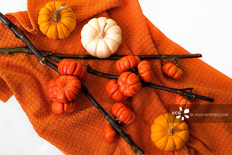 南瓜静物图片素材