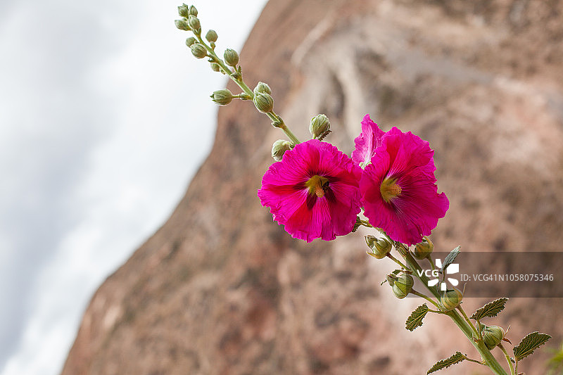 秘鲁奥扬泰坦博图片素材