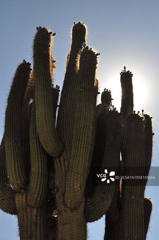 阿根廷图库曼省基尔梅斯遗址图片素材