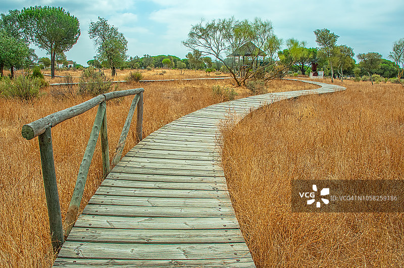 多尼亚纳国家公园的木板路图片素材
