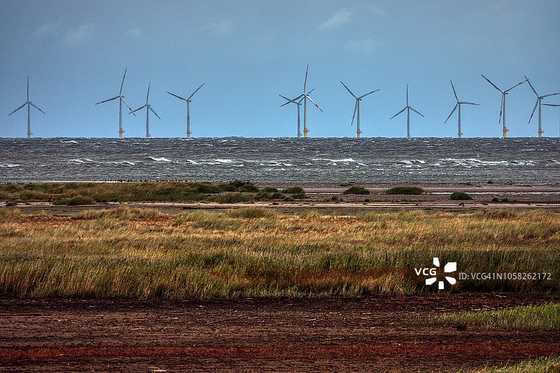 波罗的海自然保护区后面的风力涡轮机图片素材