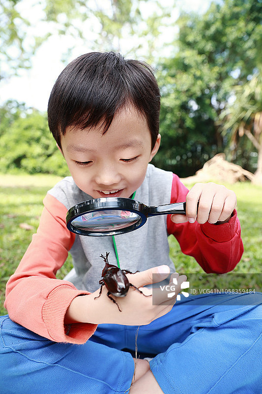 儿童拿着甲虫图片素材