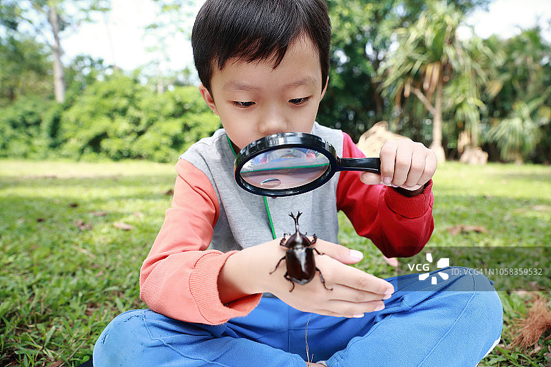 儿童拿着甲虫图片素材