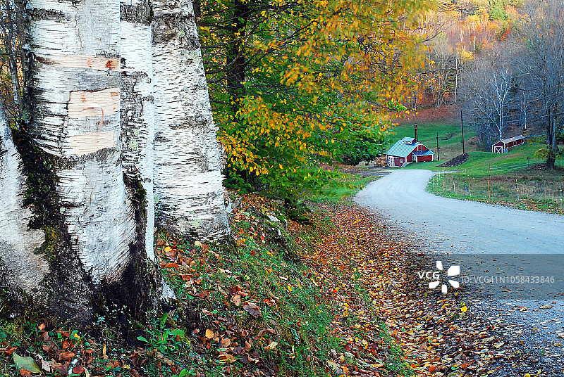 蜿蜒的秋日公路图片素材