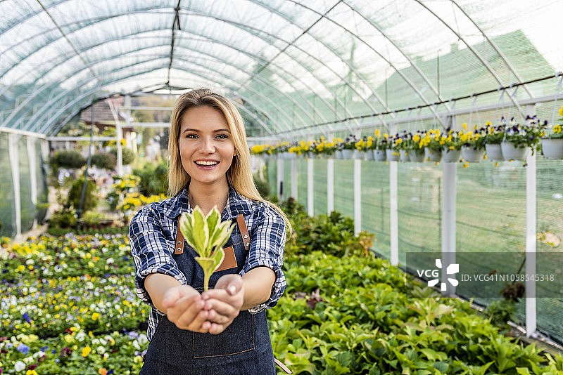 业务增长图片素材