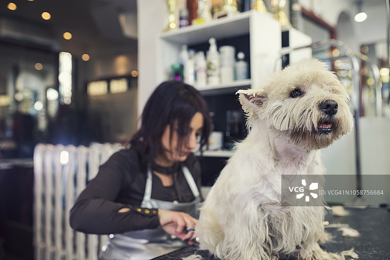 美容沙龙图片素材