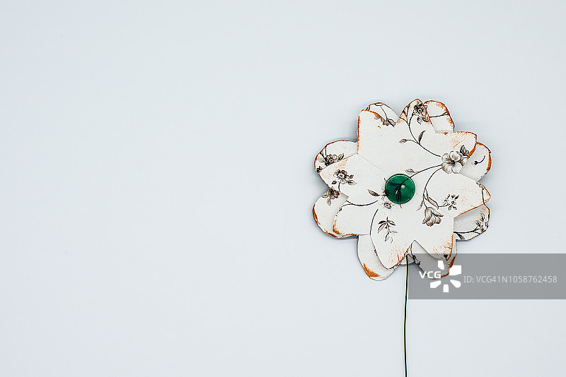 白色花朵特写图片素材