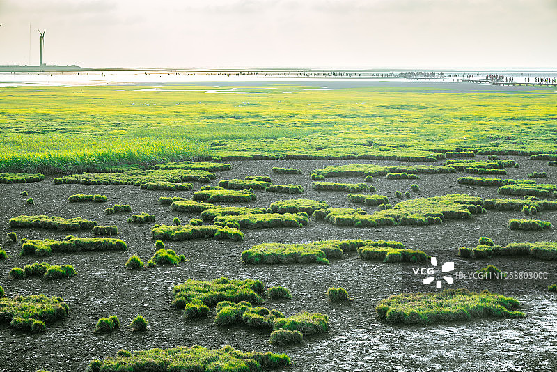 中国台湾台中市高美湿地的金色日落图片素材