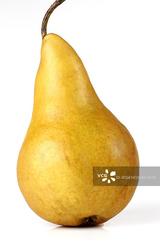 白色背景上的新鲜巴斯克梨（梨属）图片素材