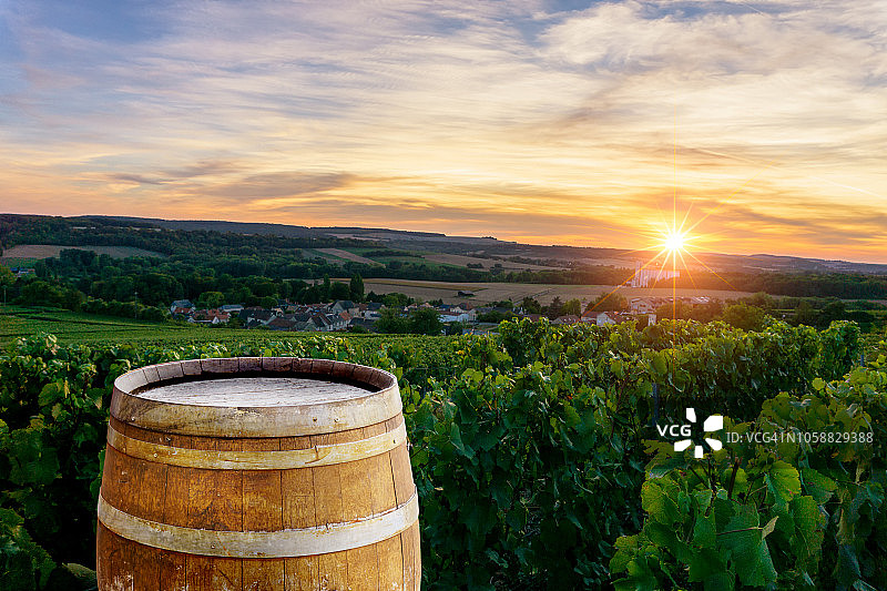 香槟葡萄园，在兰斯山香槟葡萄园背景中，一排排葡萄树上的旧木桶图片素材