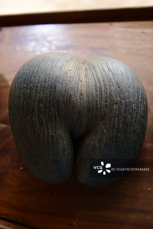 海椰子图片素材