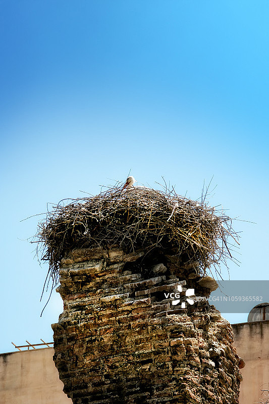 蓝色天空下，旧烟囱上的鹳巢与站立的幼鹳图片素材