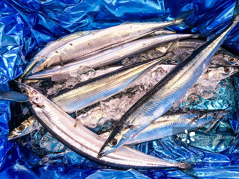 10月冰镇新鲜太平洋秋刀鱼图片素材