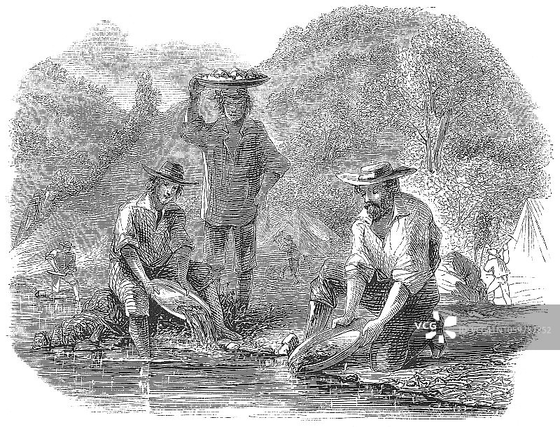 19世纪美国加州莫科勒姆尼河淘金场景图片素材