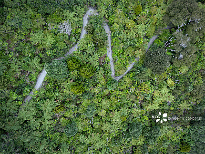 新西兰芒格努伊山树木鸟瞰图片素材