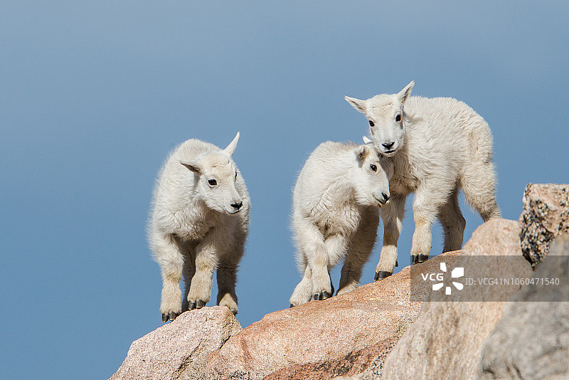 快乐的兄弟姐妹图片素材