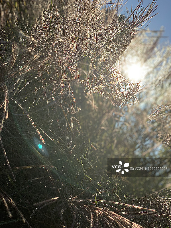 神奇时刻之光图片素材