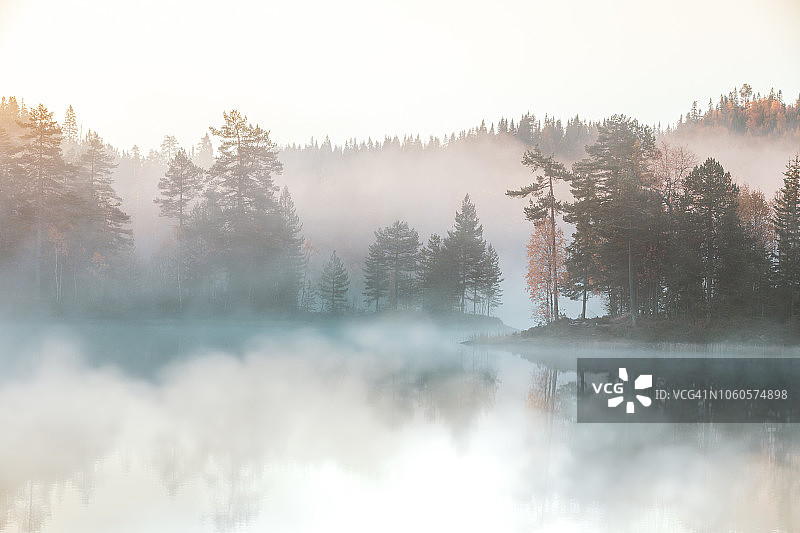 秋季森林的早晨图片素材