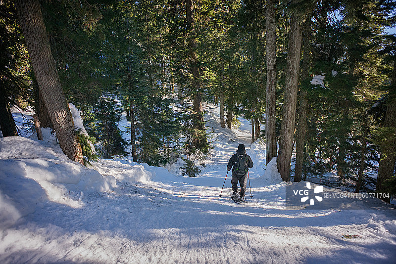 中年男人在阿尔卑斯森林小道上穿着雪鞋图片素材