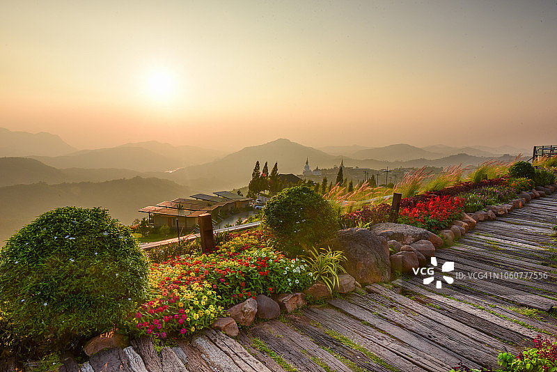 雾、雾气和阳光背景下的花朵图片素材