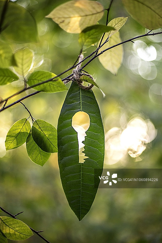 环境钥匙图片素材