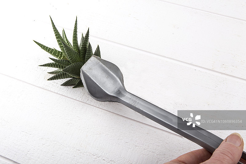 生态清洁图片素材