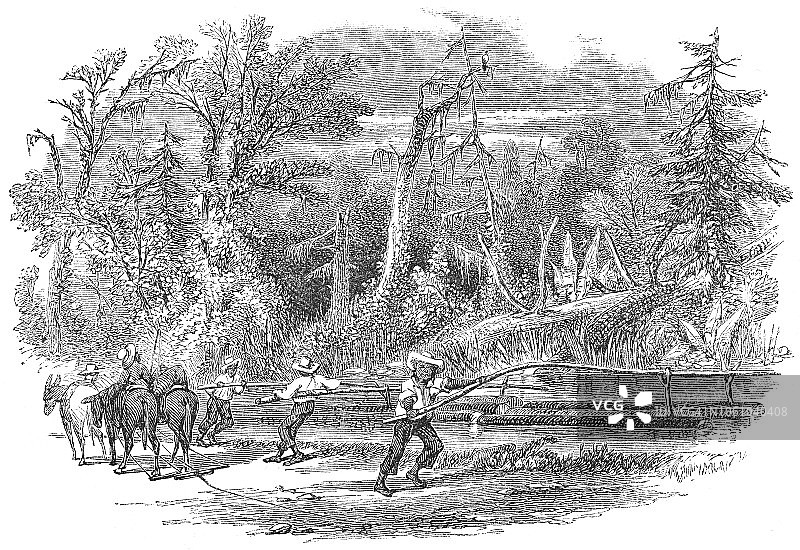 19世纪美国弗吉尼亚州，男人们使用水闸引水灌溉田地图片素材