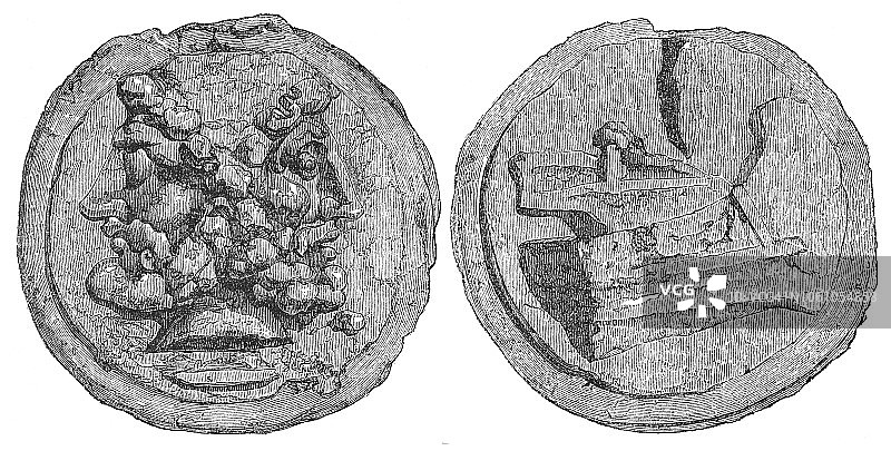 罗马共和国阿斯青铜币（公元前3世纪）图片素材