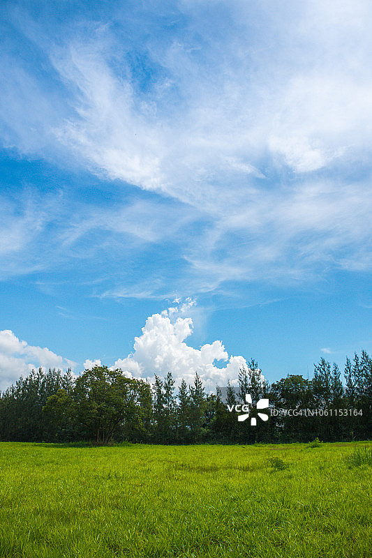 泰国农场风光图片素材