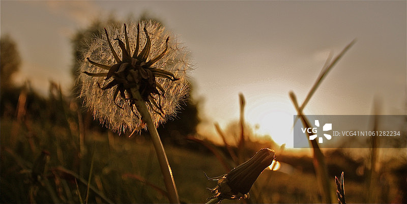 卡迪夫的春日日落图片素材