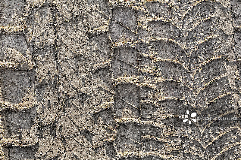 沙地泥泞土路上的轮胎痕迹图片素材