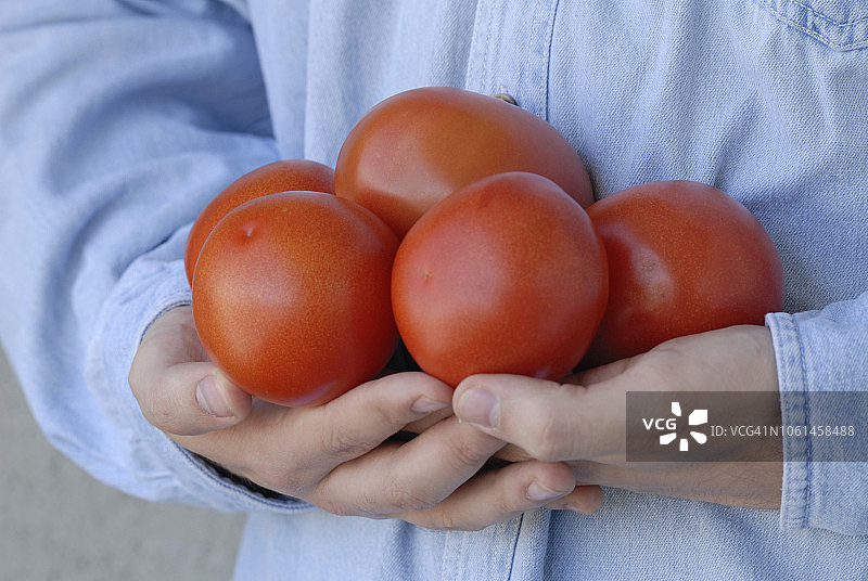 蔬菜辣椒图片素材