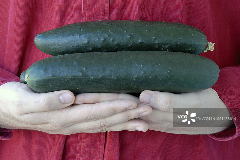 蔬菜辣椒图片素材