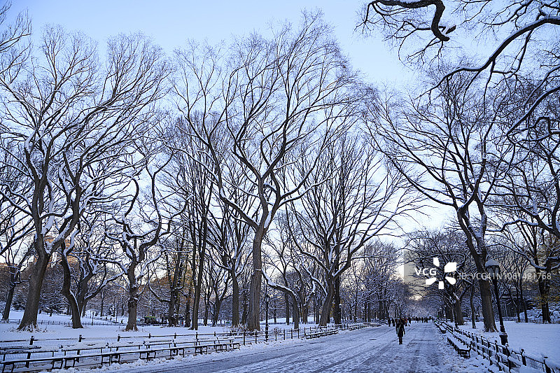 纽约中央公园图片素材