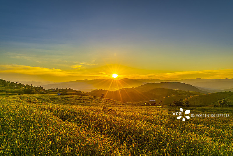 乡村稻田（Pa Pong Piang梯田）日落景色图片素材