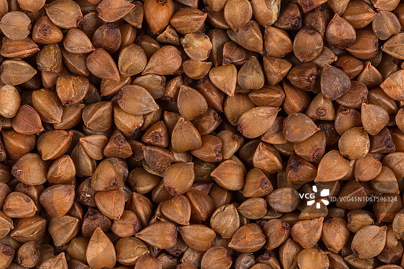 优质荞麦籽特写图片素材