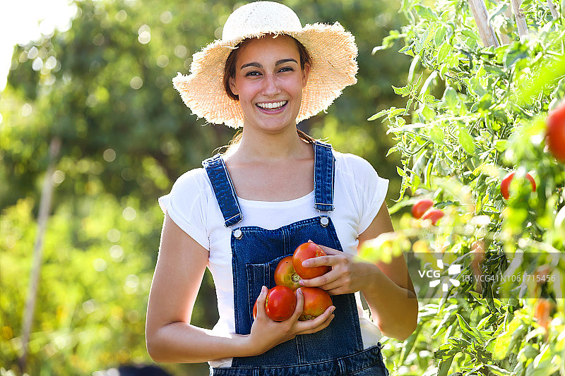 从花园里采摘新鲜番茄并向镜头展示的漂亮年轻微笑女人图片素材