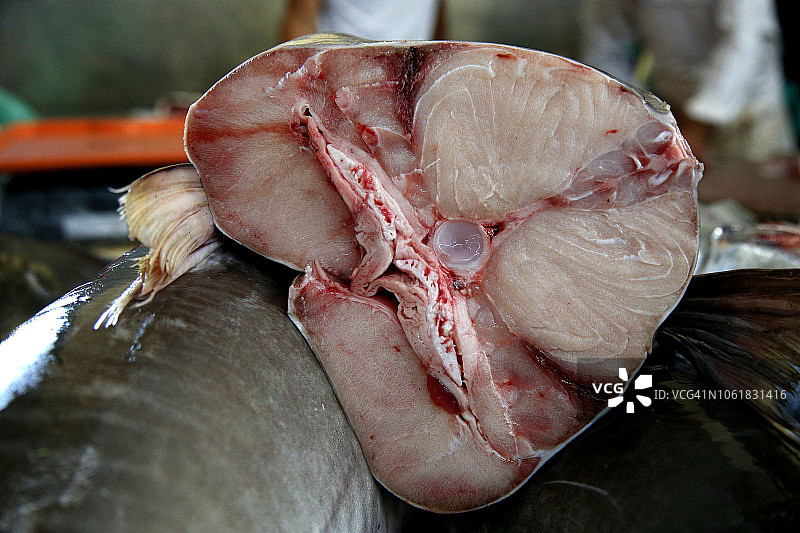 巴西亚马逊地区的鱼肉特写图片素材