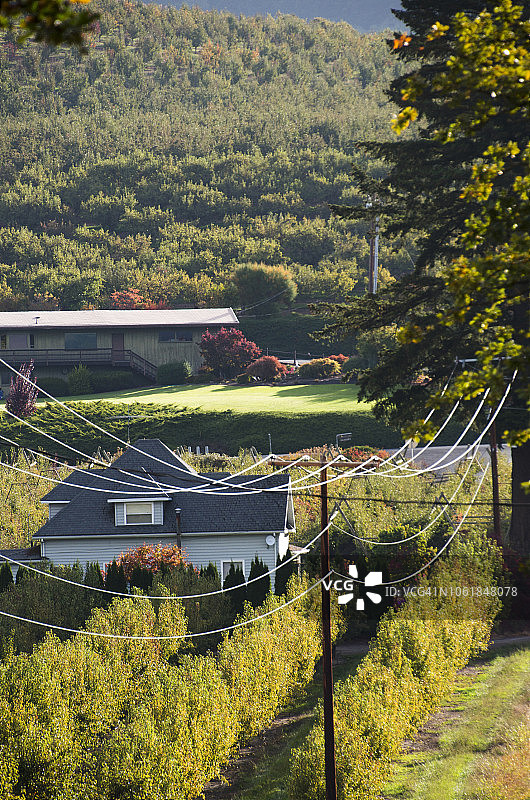 俄勒冈州乡村图片素材
