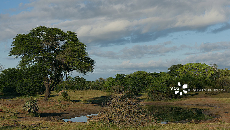 坦比象园风光图片素材