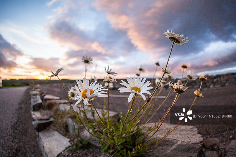 苏格兰公路旅行图片素材