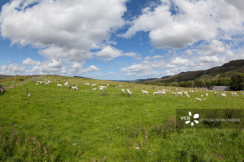 苏格兰风光图片素材