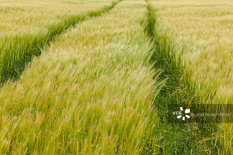 苏格兰农业图片素材