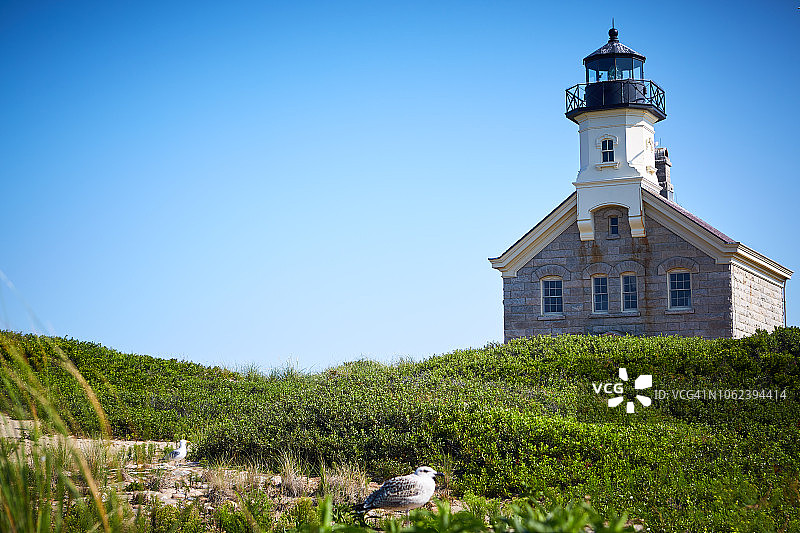 前景有鸟的灯光房屋图片素材