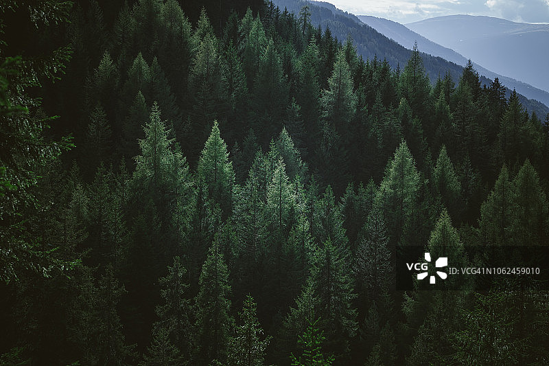 山区森林夏季绿树航拍图片素材
