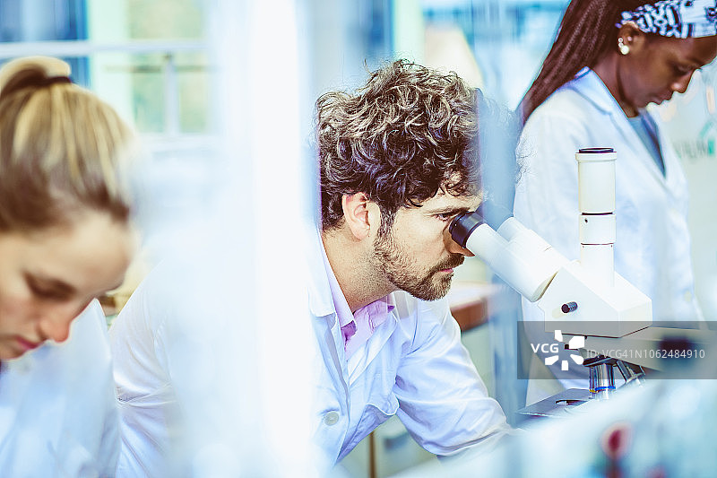 在实验室工作的科学家们图片素材