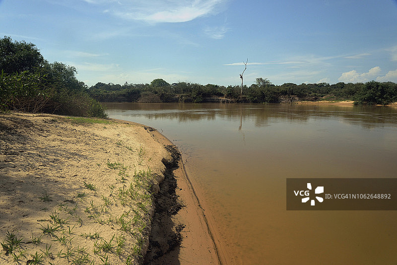 潘塔纳尔湿地中的河流图片素材