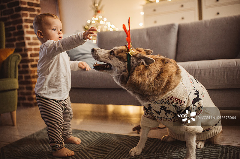 宝宝和小狗玩耍图片素材