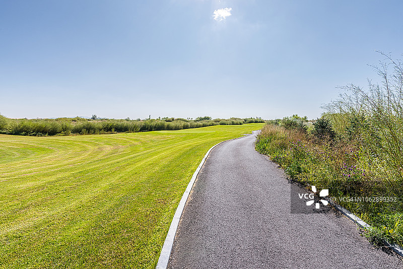 翠绿草地和蔚蓝晴空图片素材