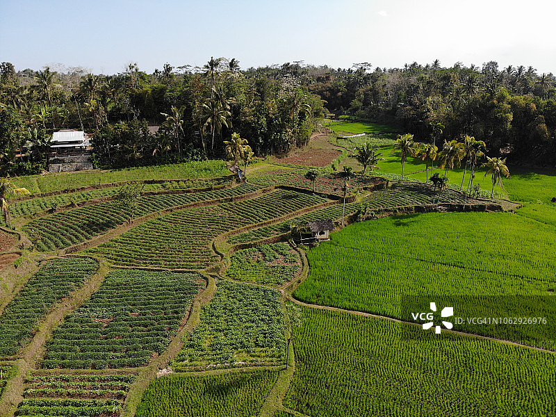 龙目岛，森巴伦图片素材